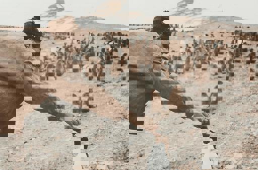 Museums Victoria Amqha4zxexu Unsplash Compressed